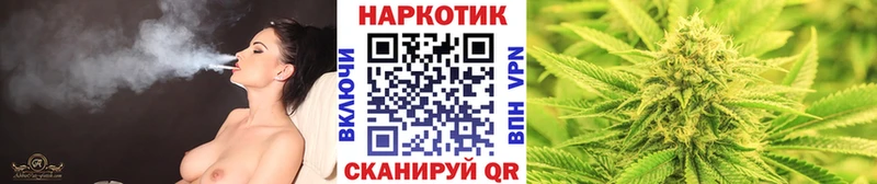 Наркотические вещества Судак Метамфетамин  Каннабис  COCAIN 