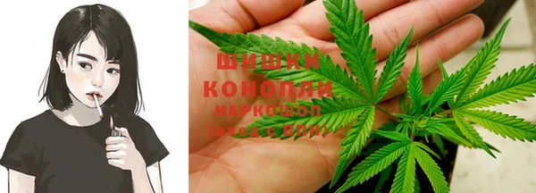 амф Аркадак