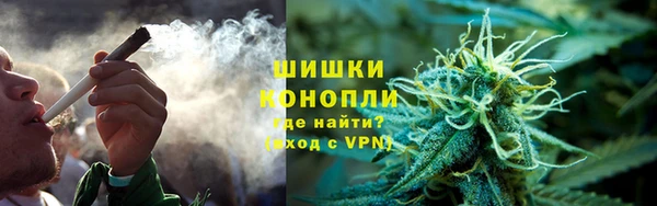 амф Аркадак