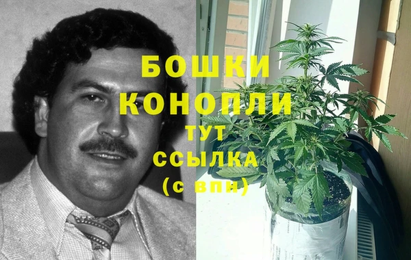 амф Аркадак