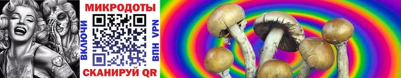 Псилоцибиновые грибы Magic Shrooms  купить наркотики цена  Судак 